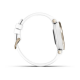 Garmin Lily สมาร์ทวอทช์สุขภาพ ขนาดเล็ก น้ำหนักเบา Garmin Lily สมาร์ทวอทช์สุขภาพ ขนาดเล็ก น้ำหนักเบา