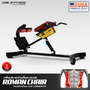 Back Extension (TN89) เครื่องเล่นกล้ามเนื้อหลังและเอว Roman Chair  มาตรฐาน Fitness Center Back Extension (TN89) เครื่องเล่นกล้ามเนื้อหลังและเอว Roman Chair  มาตรฐาน Fitness Center