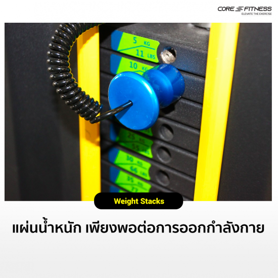 Abdominal Crunch/Lower Back TB14 (Dual Function) เครื่องบริหารกล้ามท้อง/หลัง มาตรฐานฟิตเนสเซ็นเตอร์ Abdominal Crunch/Lower Back TB14 (Dual Function) เครื่องบริหารกล้ามท้อง/หลัง มาตรฐานฟิตเนสเซ็นเตอร์