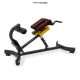 Back Extension (TN89) เครื่องเล่นกล้ามเนื้อหลังและเอว Roman Chair  มาตรฐาน Fitness Center