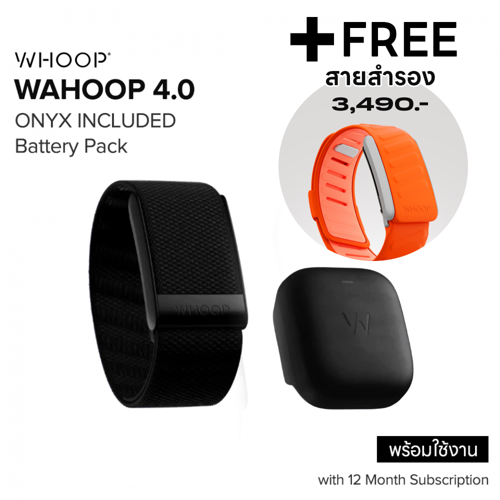 WHOOP Onyx 4.0 (Peak) สายรัดข้อมือวัดชีพจร ติดตามสุขภาพ ฟิตเนส (12