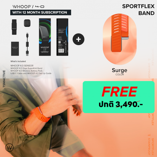 WHOOP 4.0 Onyx (Peak) สายรัดข้อมือวัดชีพจร ติดตามสุขภาพ ฟิตเนส (12 Month Subscription) WHOOP 4.0 Onyx (Peak) สายรัดข้อมือวัดชีพจร ติดตามสุขภาพ ฟิตเนส (12 Month Subscription)
