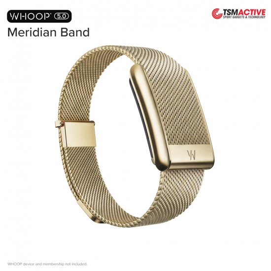 WHOOP 5.0 Meridian Band สายโลหะ สำหรับ WHOOP 5.0