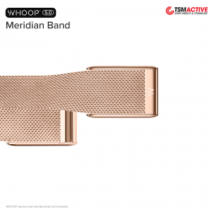 WHOOP 5.0 Meridian Band สายโลหะ สำหรับ WHOOP 5.0