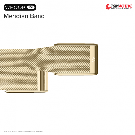 WHOOP MG Meridian Band สายโลหะ สำหรับ WHOOP MG