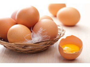 กินไข่ดีอย่างไร ?