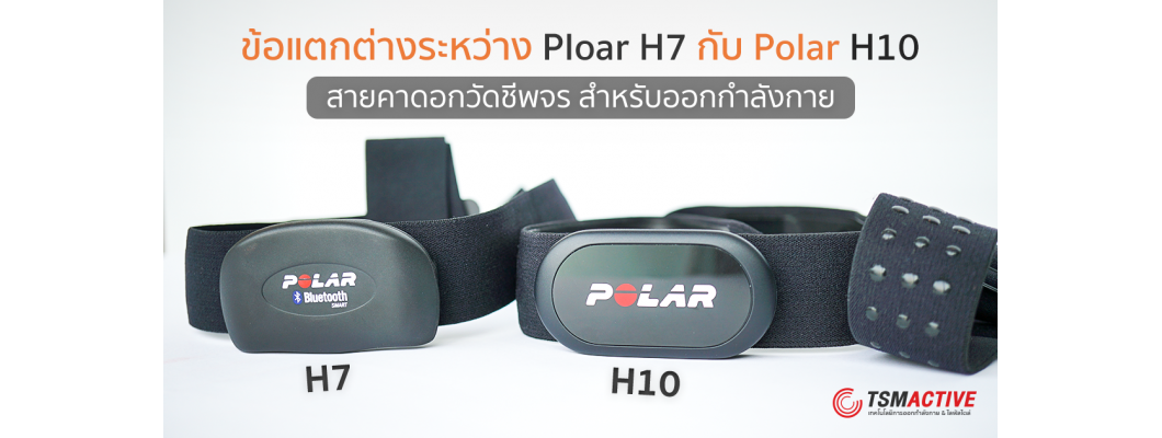 7 ข้อแตกต่างระหว่าง Ploar H7 กับ Polar H10 สายคาดอกวัดชีพจรสำหรับออกกำลังกาย