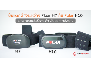 7 ข้อแตกต่างระหว่าง Ploar H7 กับ Polar H10 สายคาดอกวัดชีพจรสำหรับออกกำลังกาย 7 ข้อแตกต่างระหว่าง Ploar H7 กับ Polar H10 สายคาดอกวัดชีพจรสำหรับออกกำลังกาย